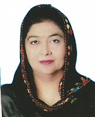 Hina_Dastagir.jpg