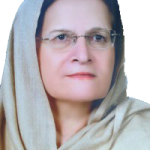 Meraj_Hamayun_Khan.png