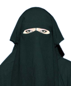 Mst._Khadija_Aamir_Yar_Malik.png