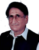 Muhammad_Anis_Qureshi.png