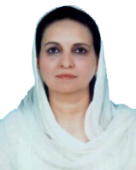 Nausheen_Hamid.png